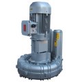 Воздуходувка FPZ-K11-TS-GVR-0-Flex-coupling-Vertical-IE2